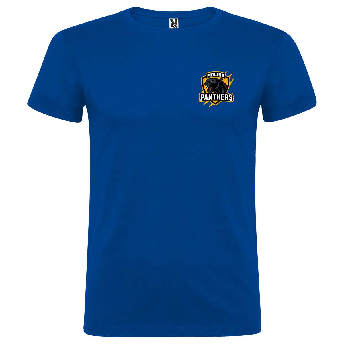 camiseta-baloncesto-panthers